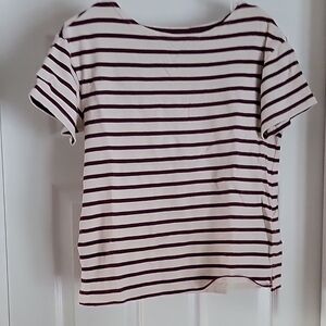 Striped Women's Top - White and Brown